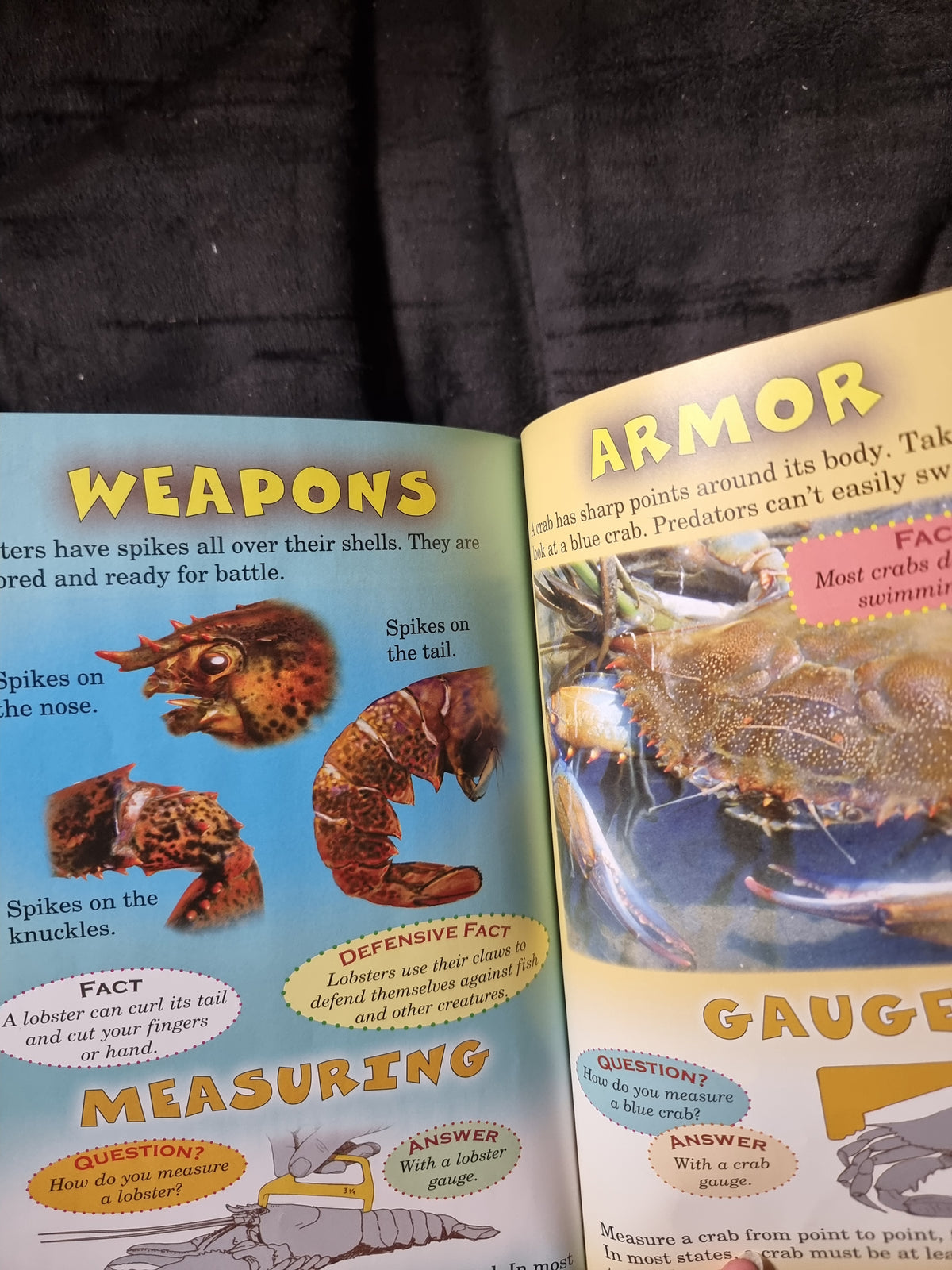 Who Would Win? Lobster vs. Crab