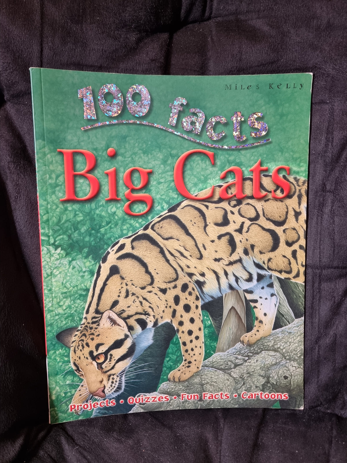 100 Facts Big Cats