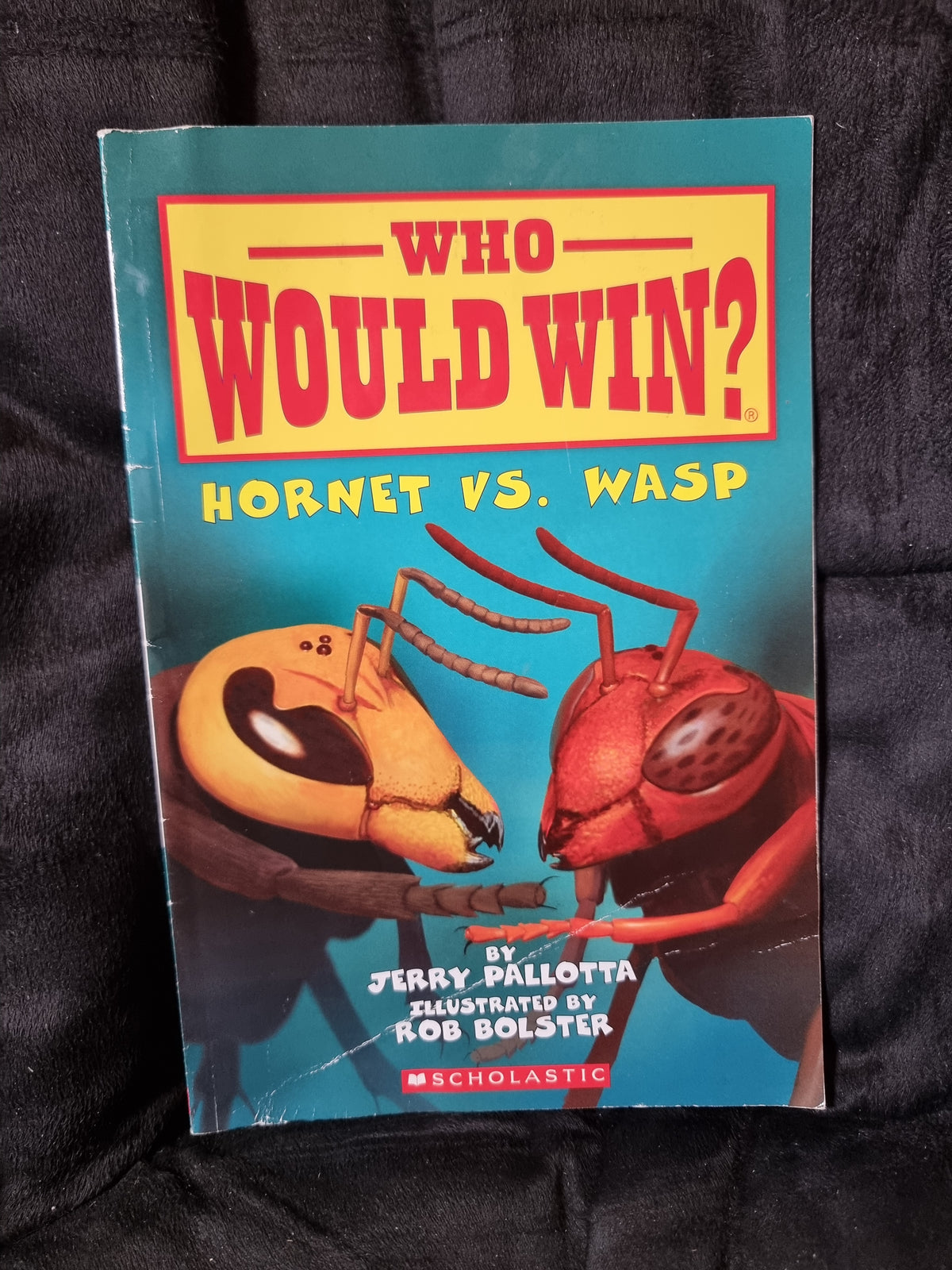 Who Would Win? Hornet vs Wasp