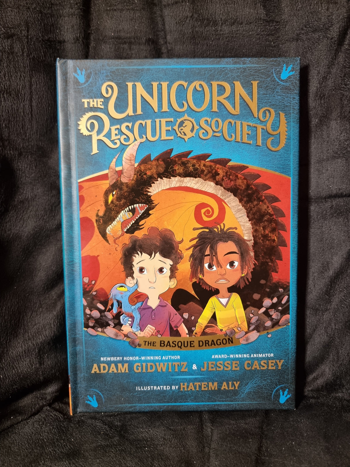 The Unicorn Rescue Society The Basque Dragon