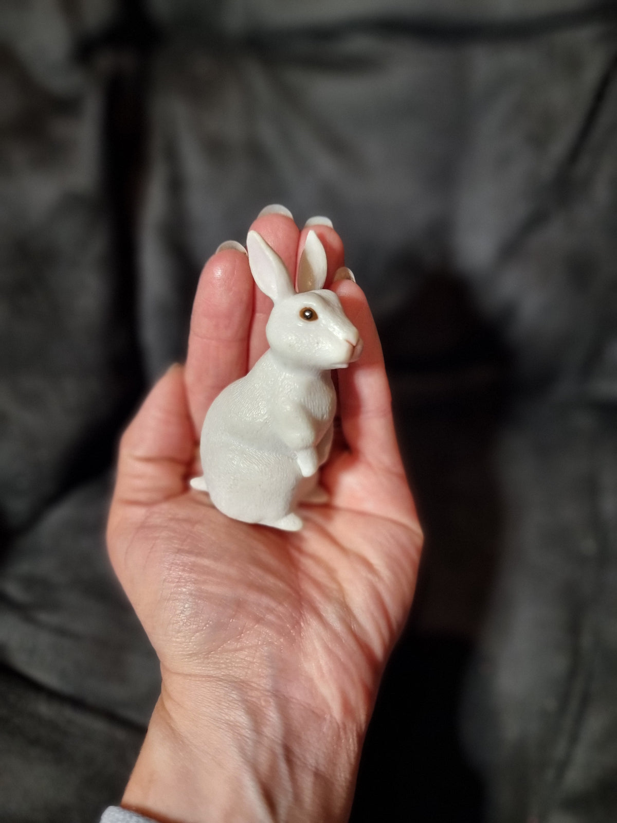 Bunny