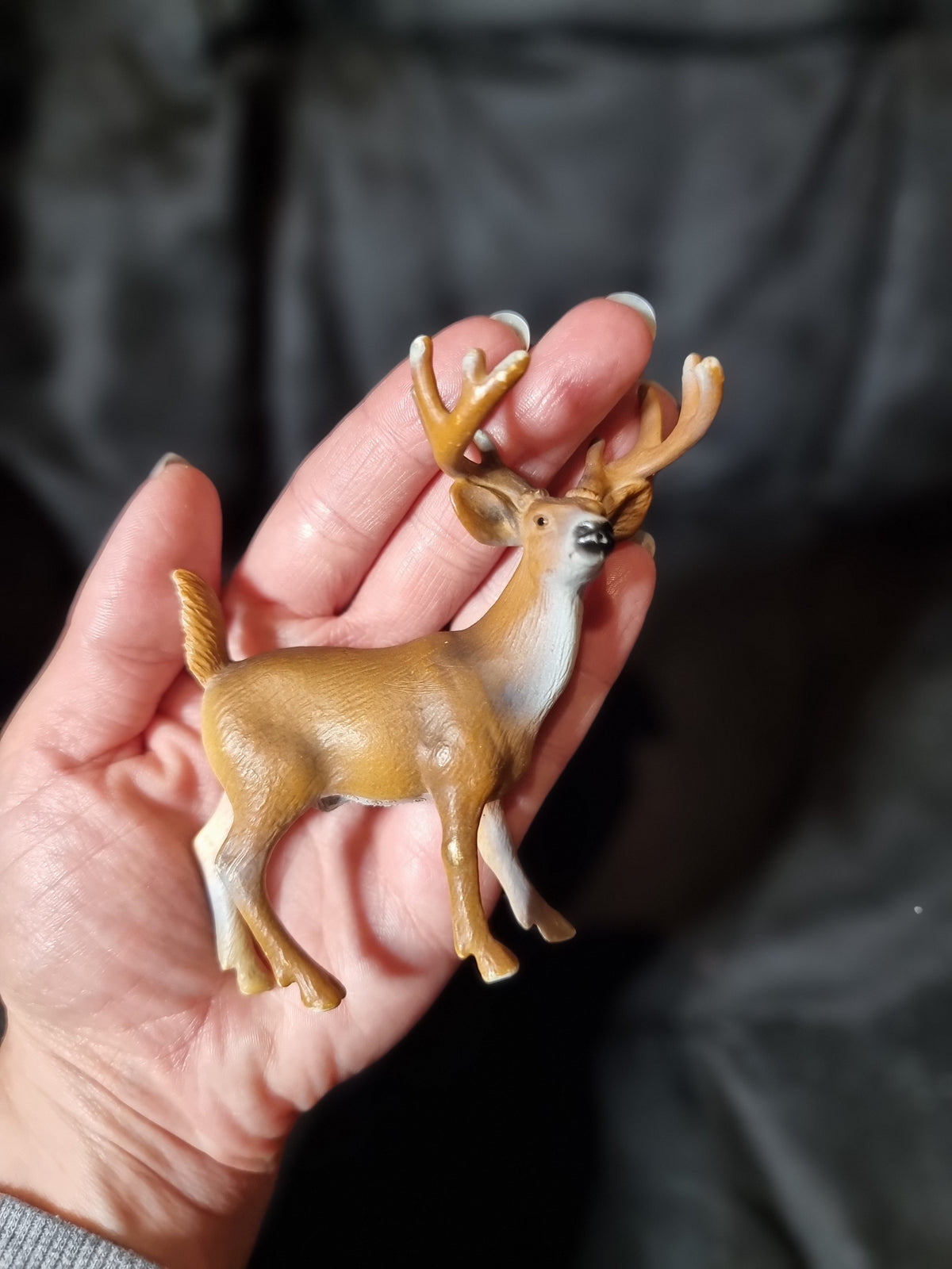 Deer