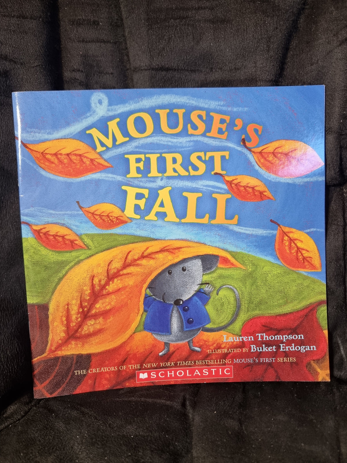 Mouse's First Fall