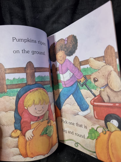 Grow A Pumkin Pie!