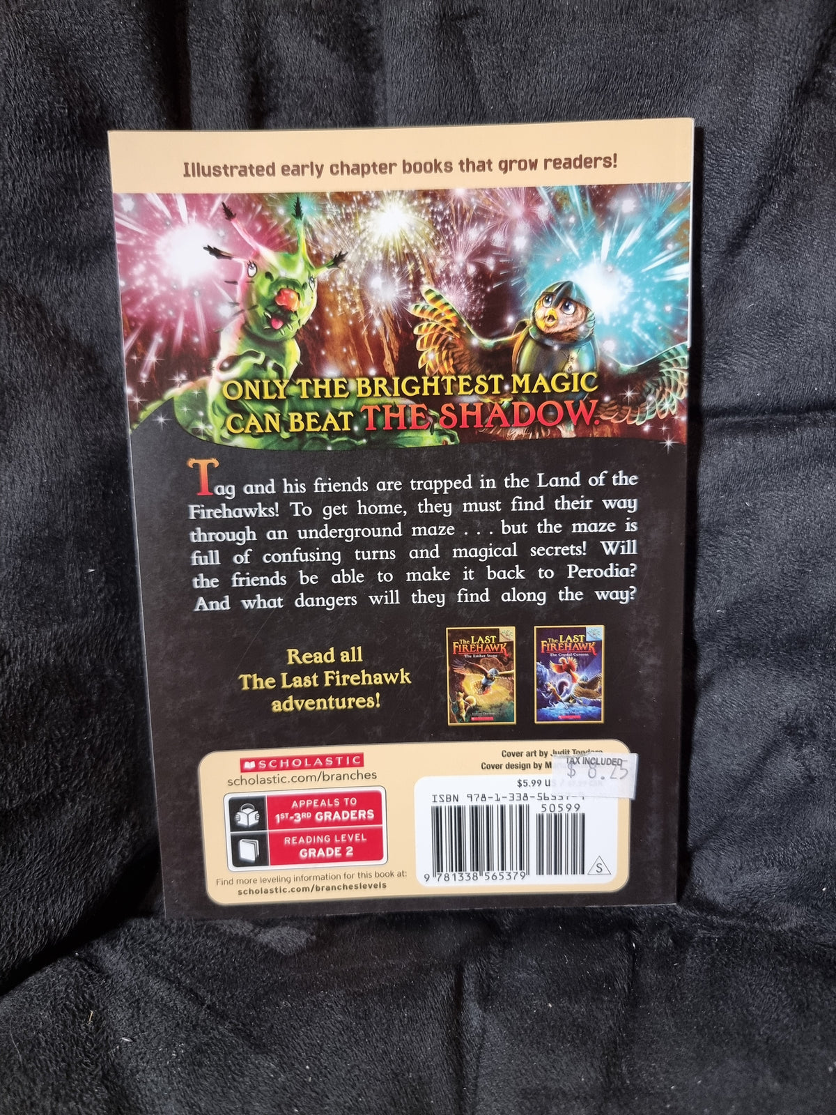 The Last Firehawk - The Secret Maze