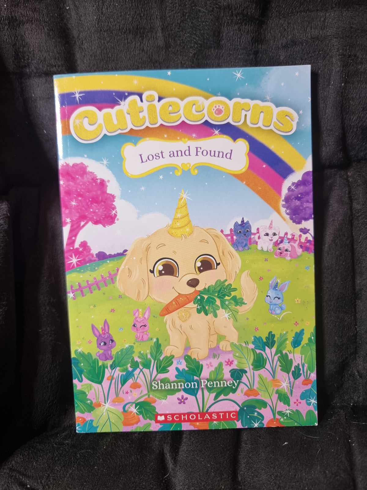 Cutiecorns Lost and Found