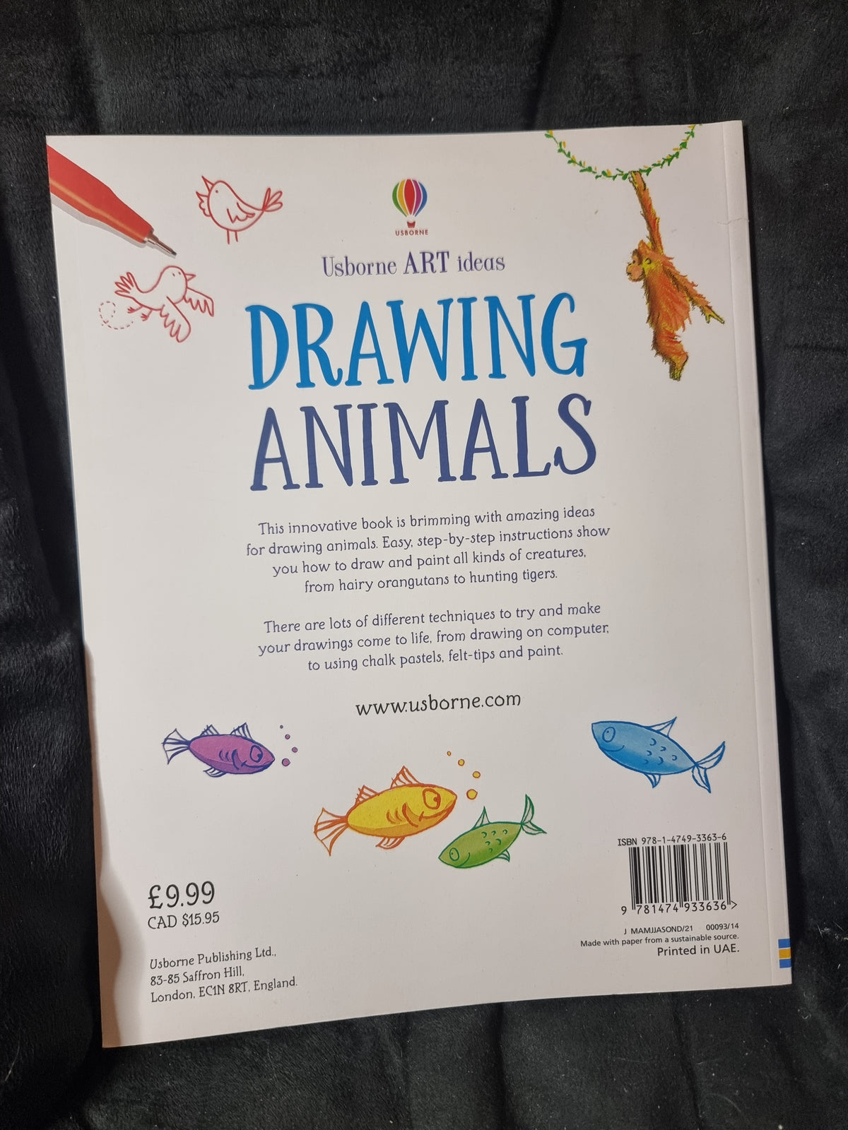 Usborne Drawing Animals