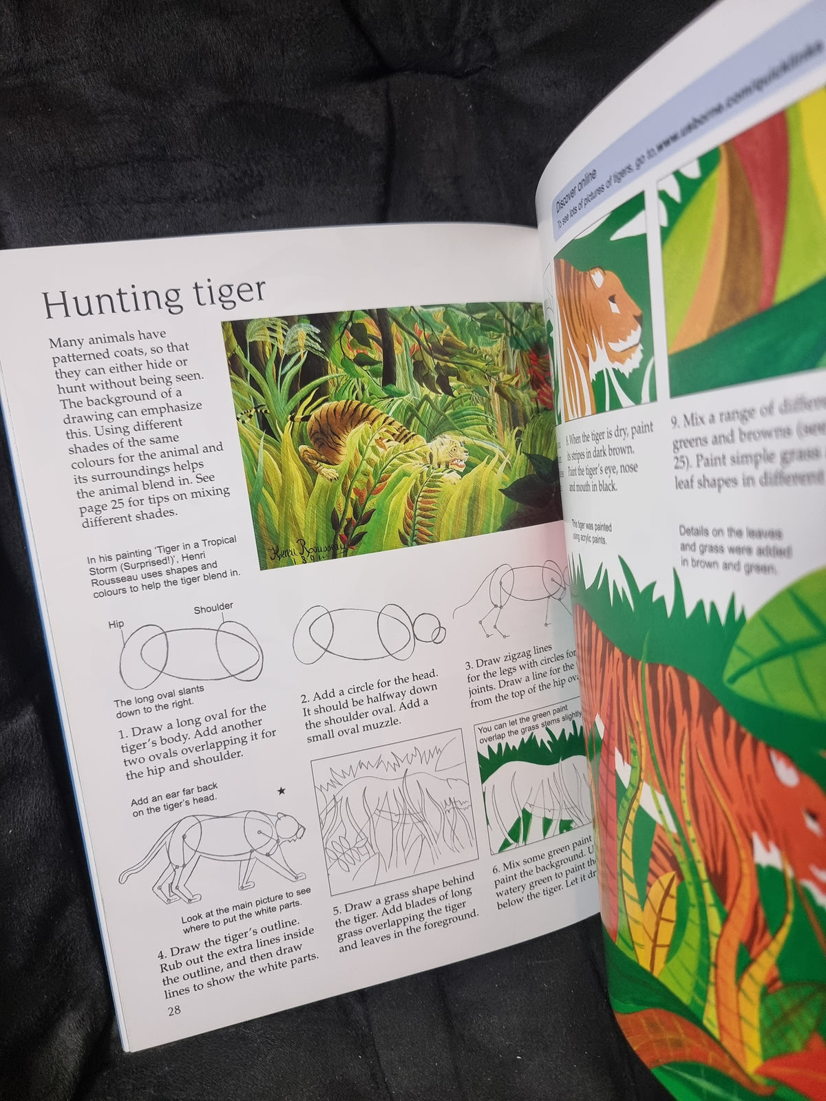 Usborne Drawing Animals