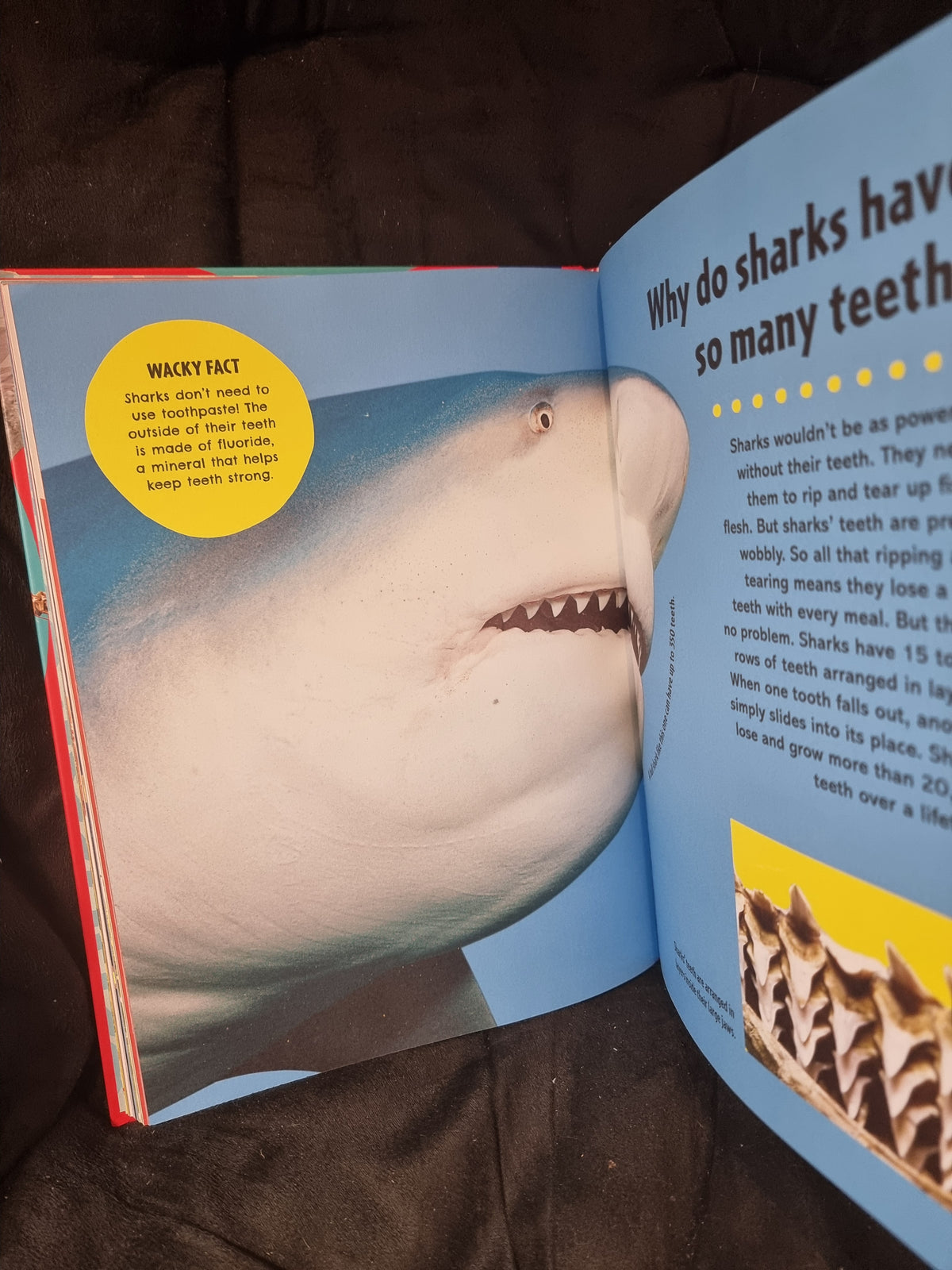 Britannica First Big Book of Why