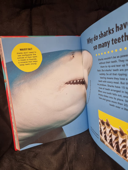 Britannica First Big Book of Why