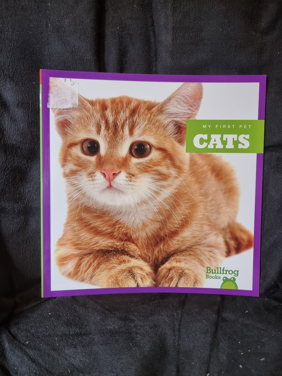 My First Pet - Cats