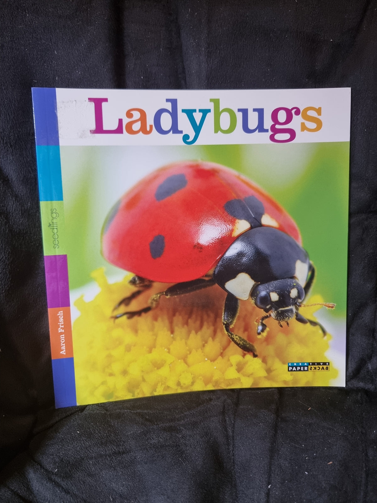 Ladybugs