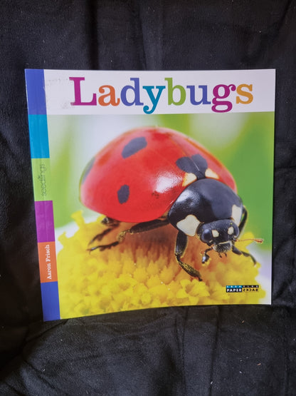 Ladybugs