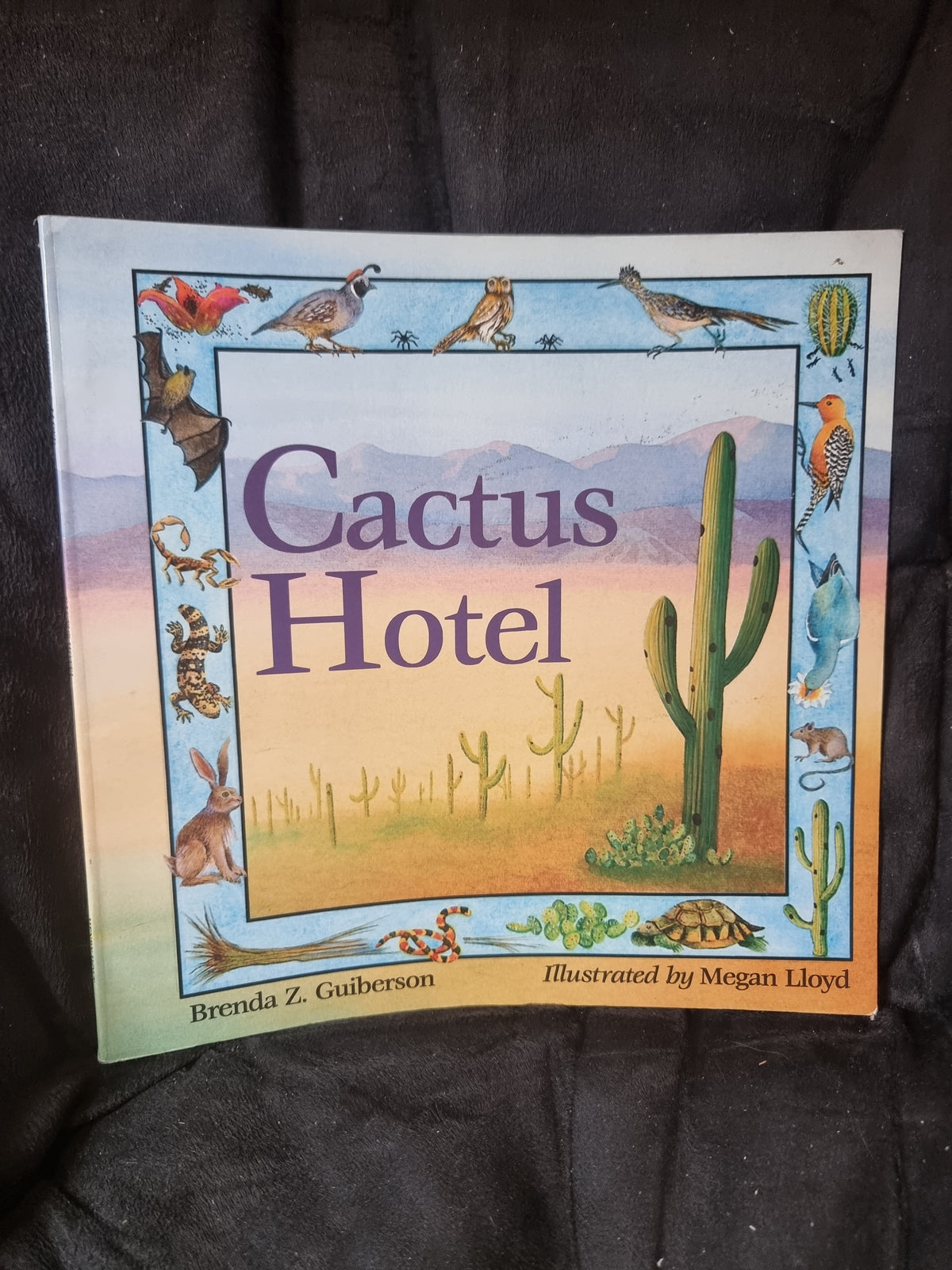 Cactus Hotel