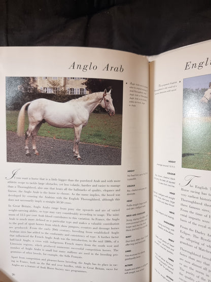 Guide to Horses
