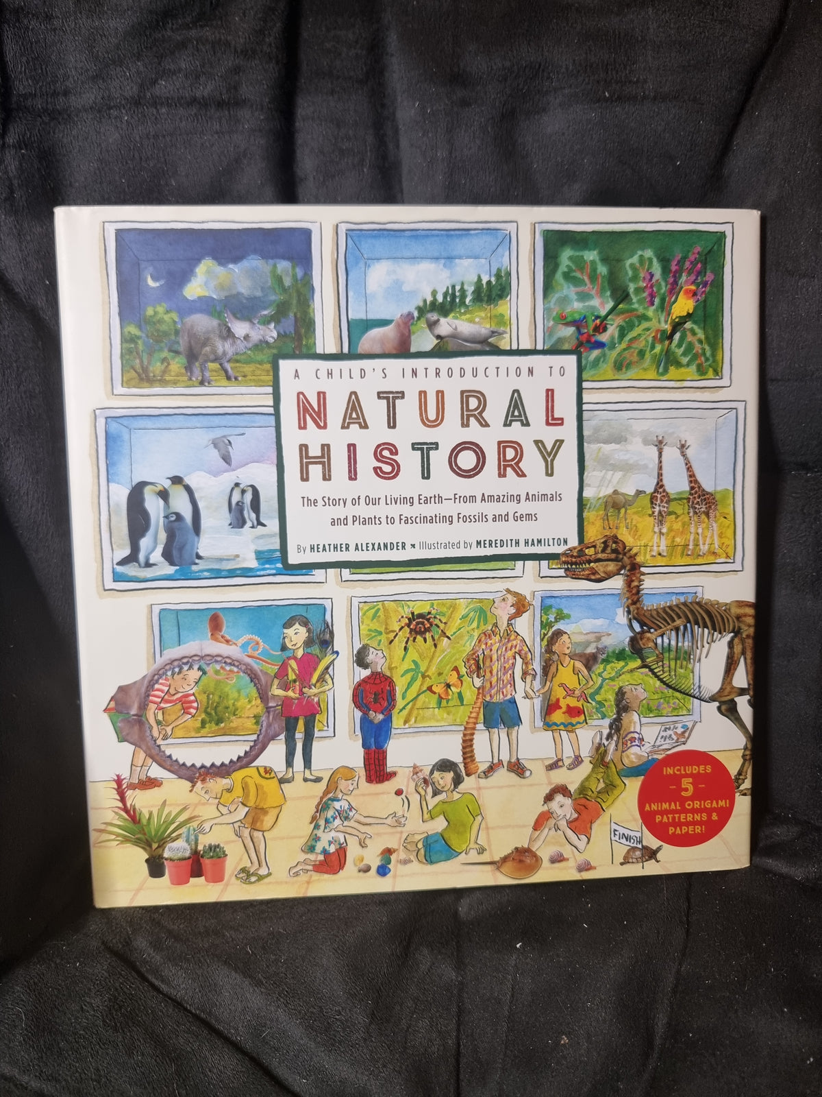 A Child's Introduction to Natural History