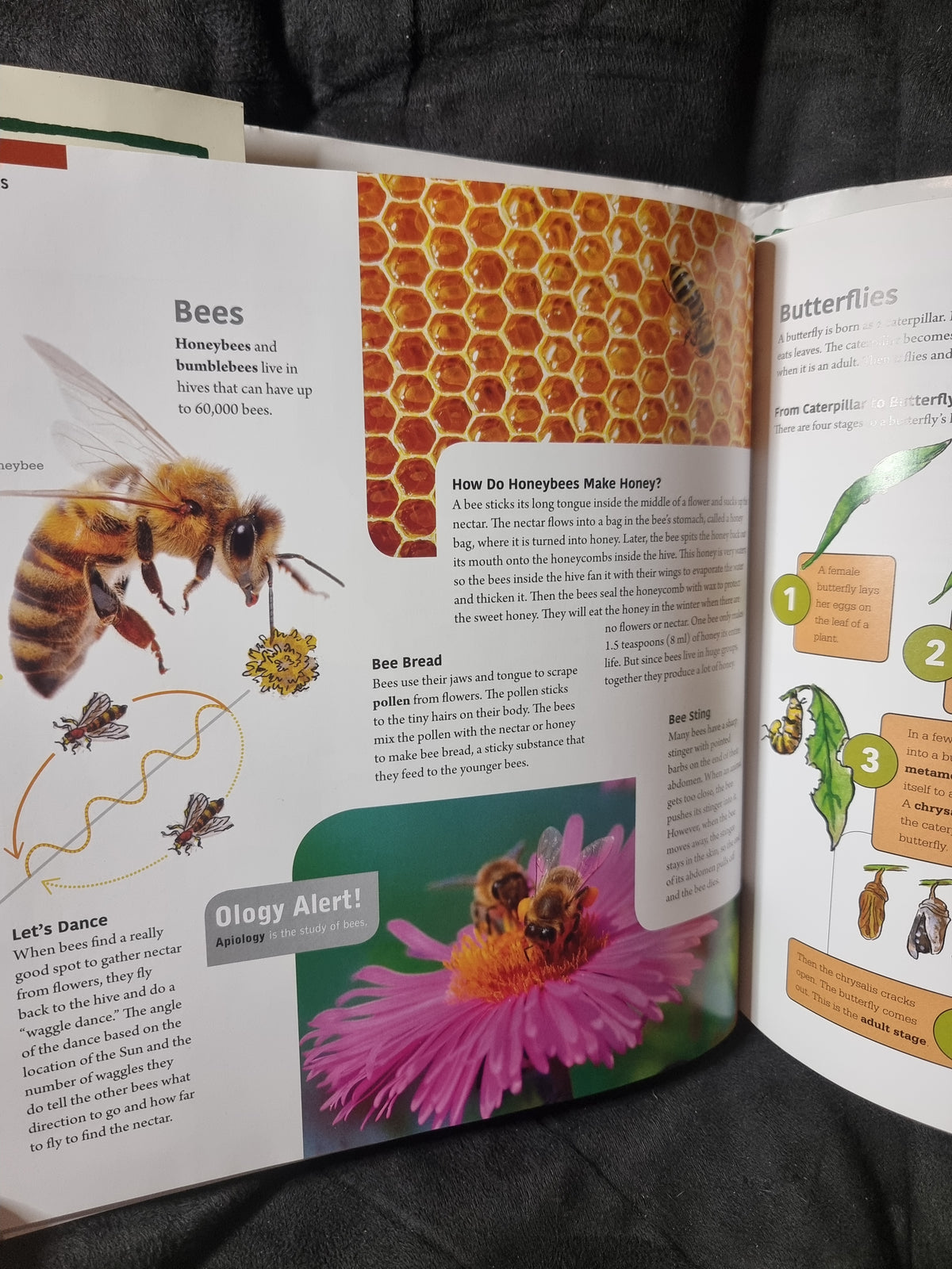 A Child's Introduction to Natural History