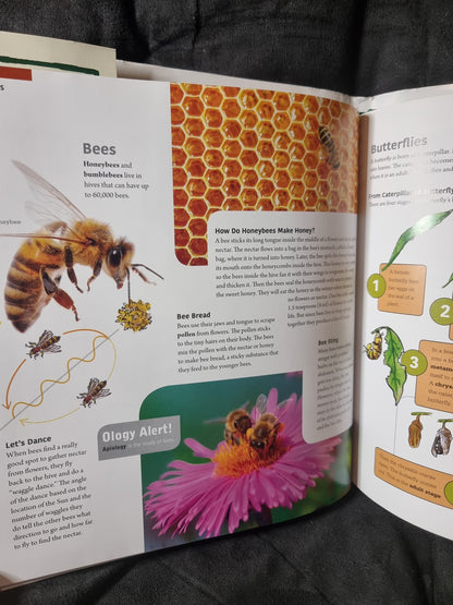 A Child's Introduction to Natural History