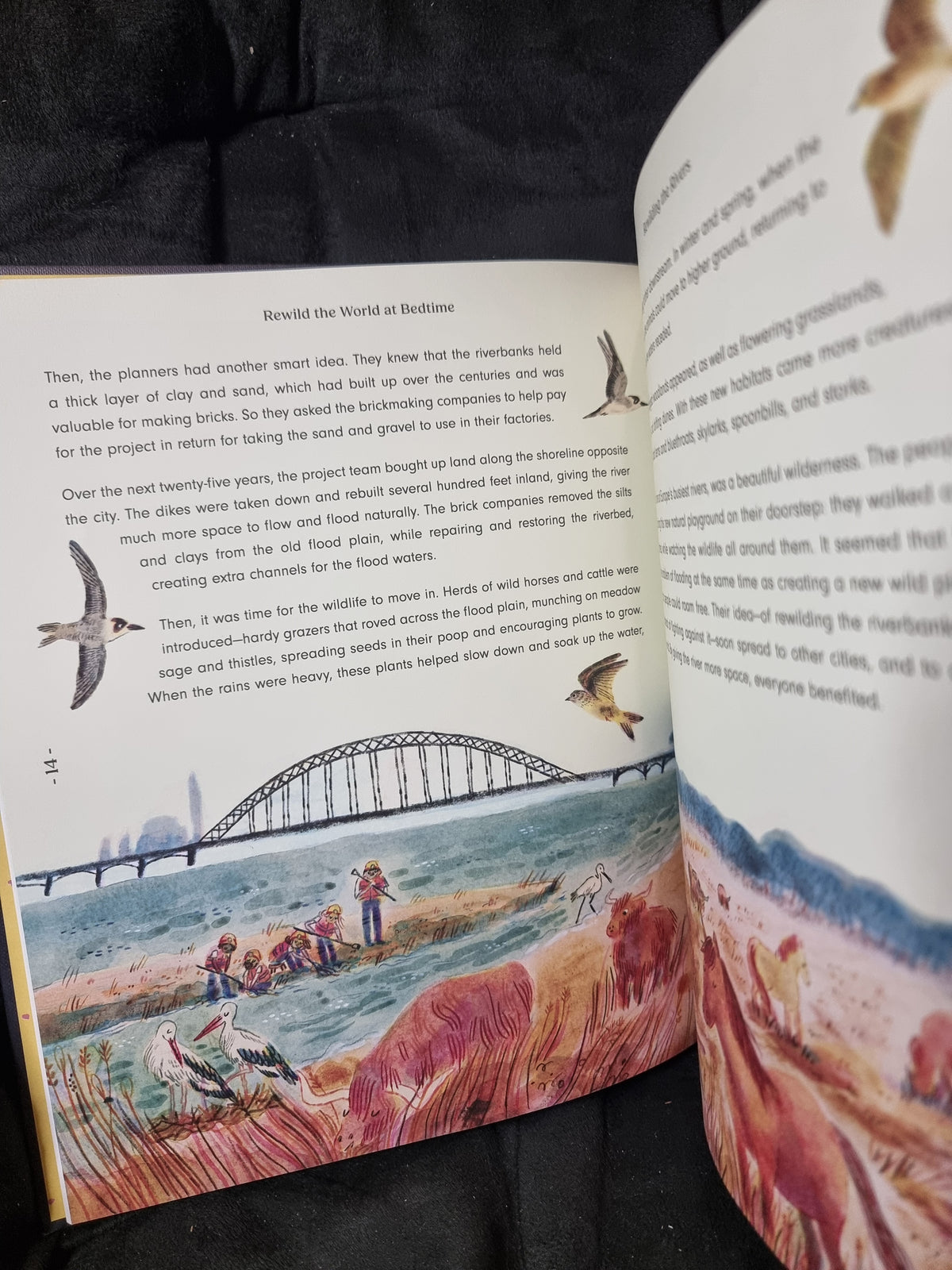 Rewild the World at Bedtime