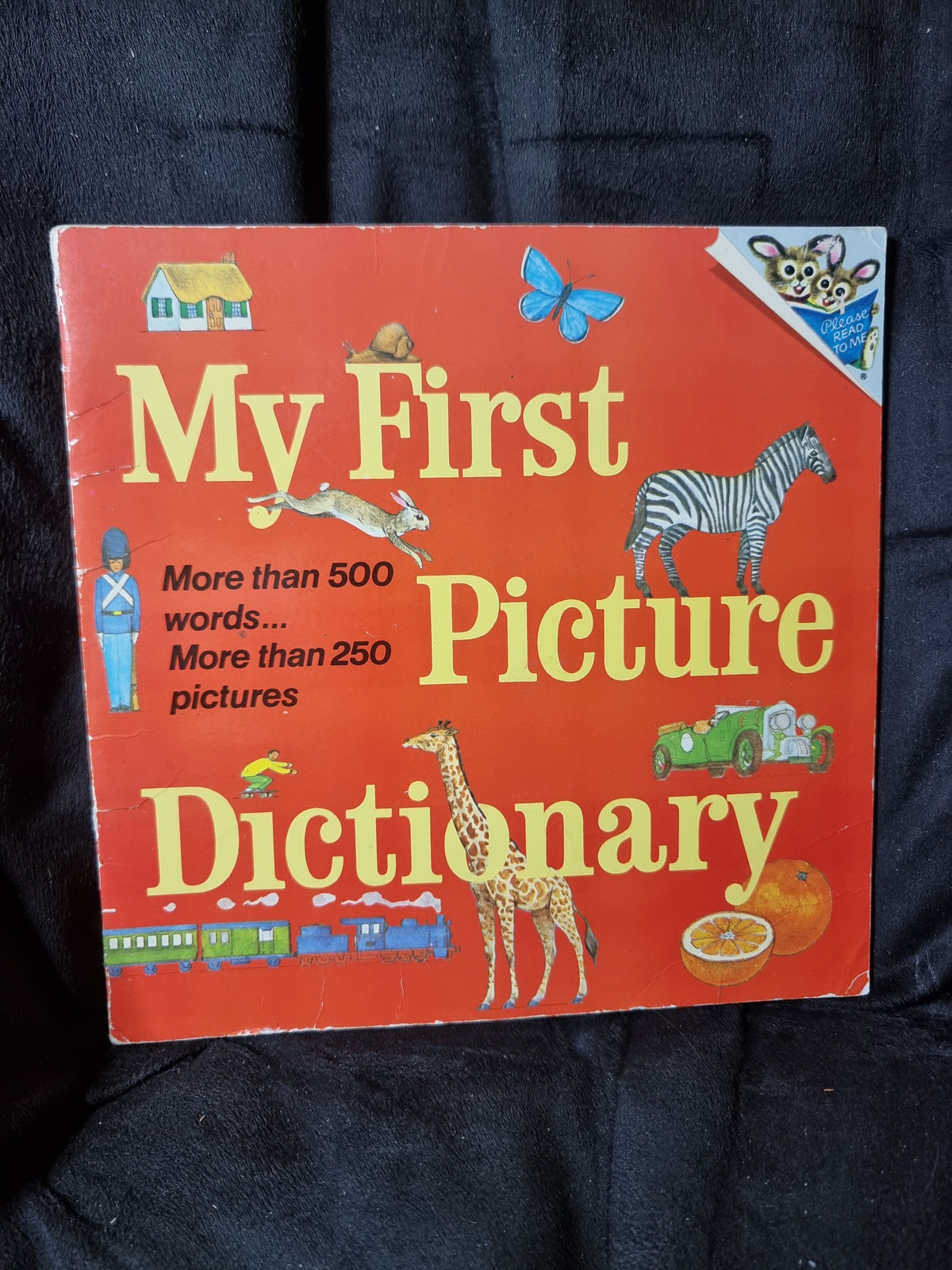 My First Picture Dictionary