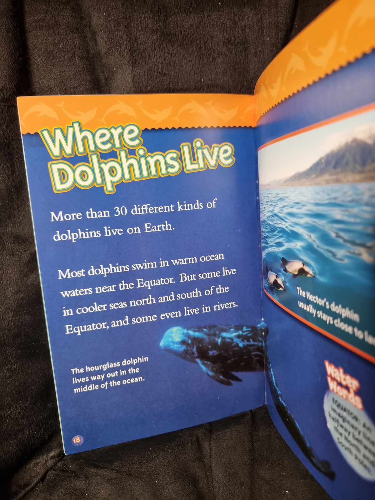 National Geographic Kids - Dolphins