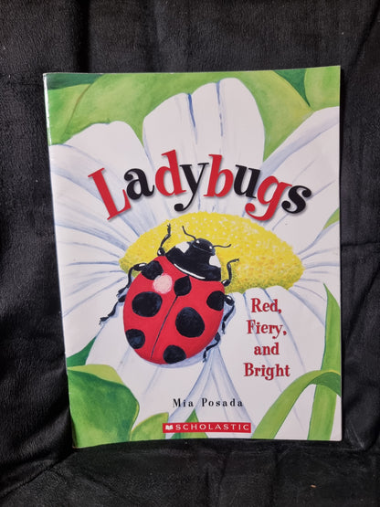 Ladybugs