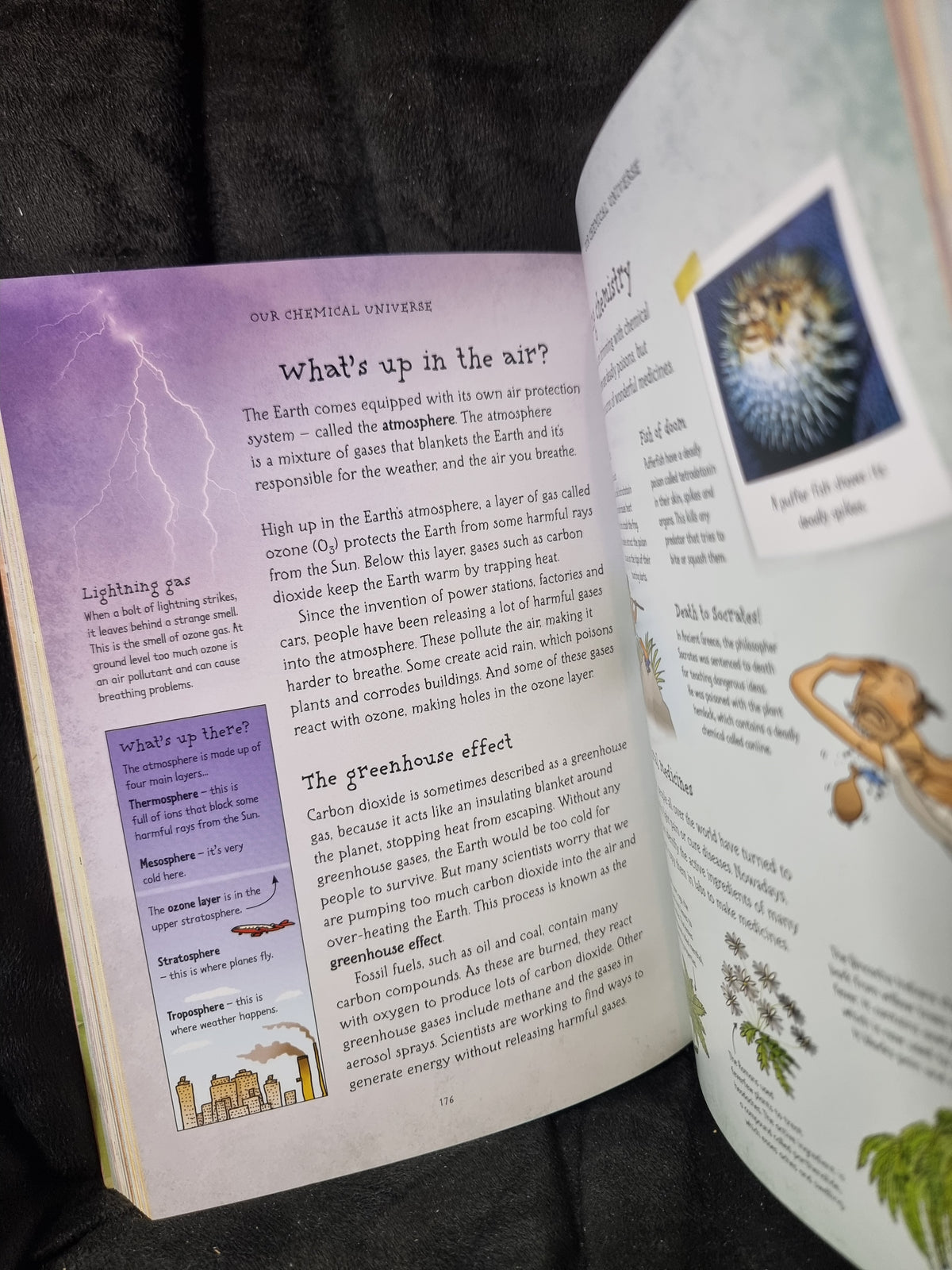 Usborne What's Science All About?