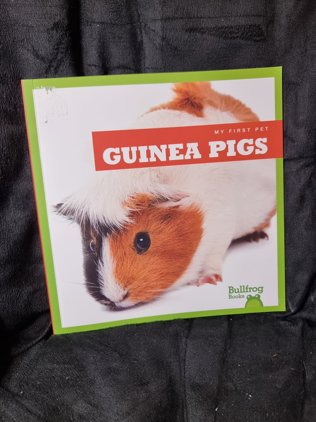 My First Pet Guinea Pigs