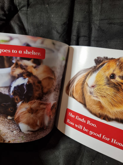 My First Pet Guinea Pigs