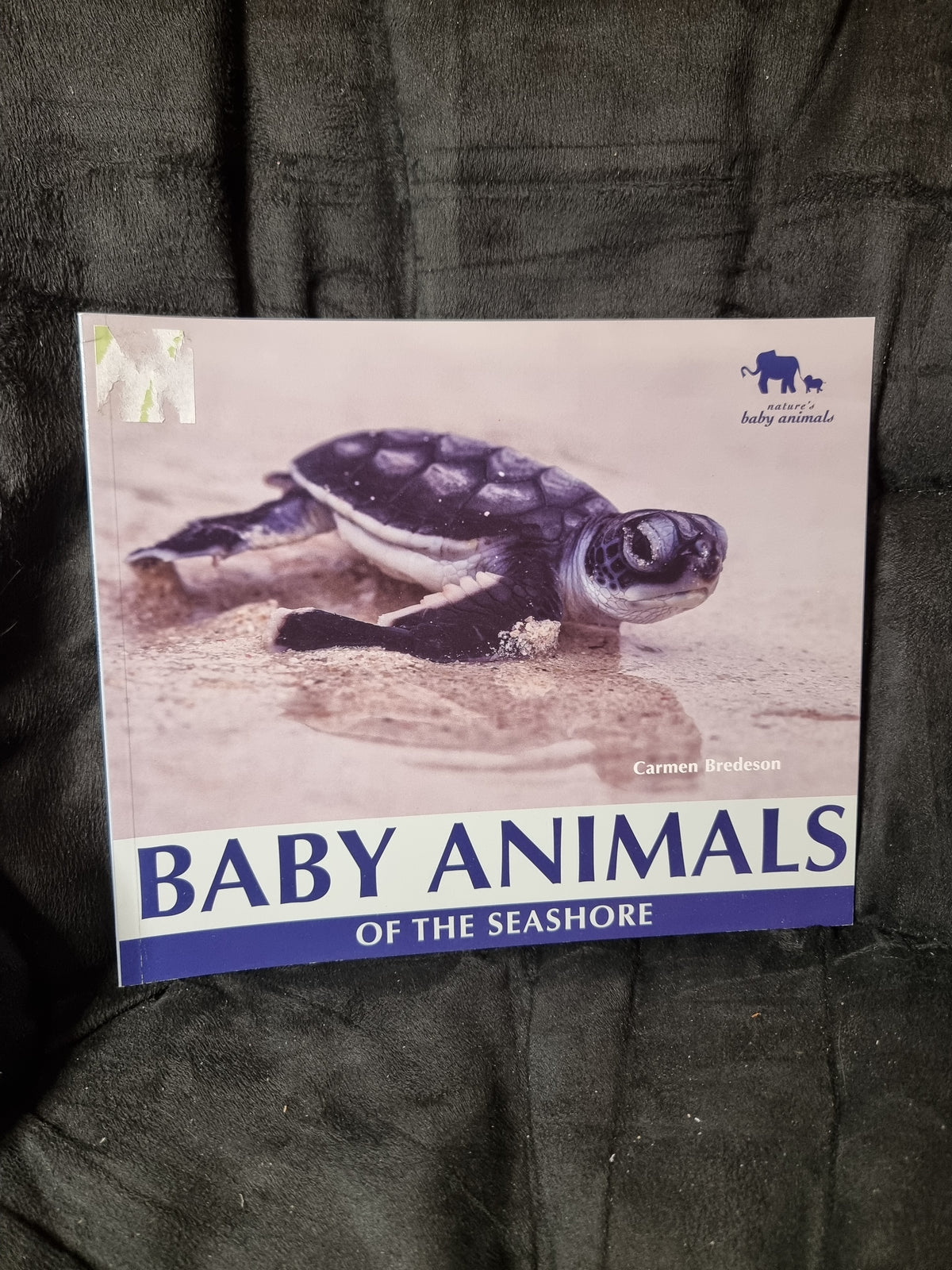 Baby Animals of the Seashore