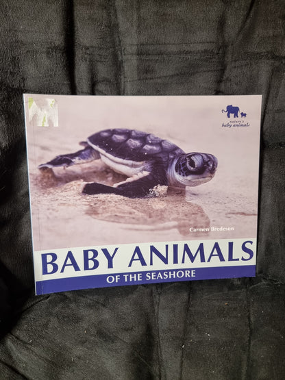 Baby Animals of the Seashore