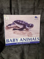 Baby Animals of the Seashore