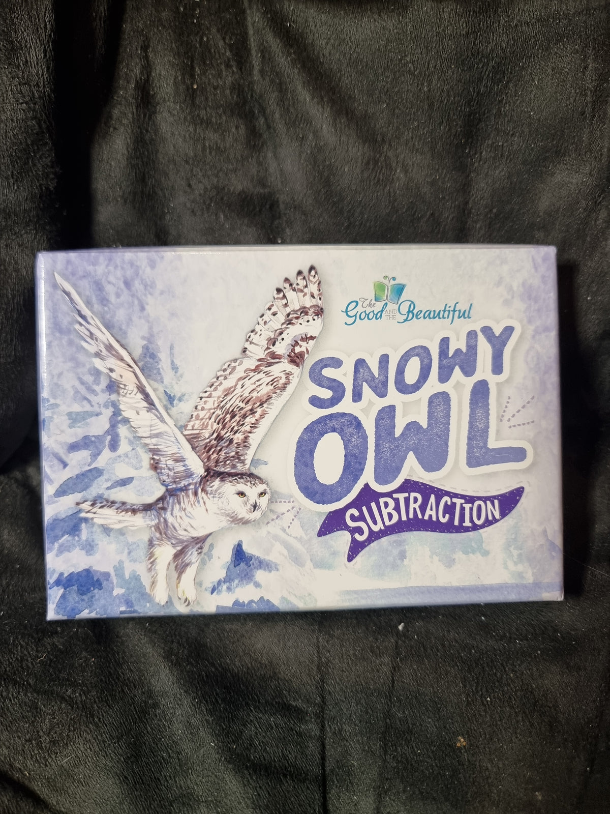 The Good and The Beautiful Snowy Owl Subtraction