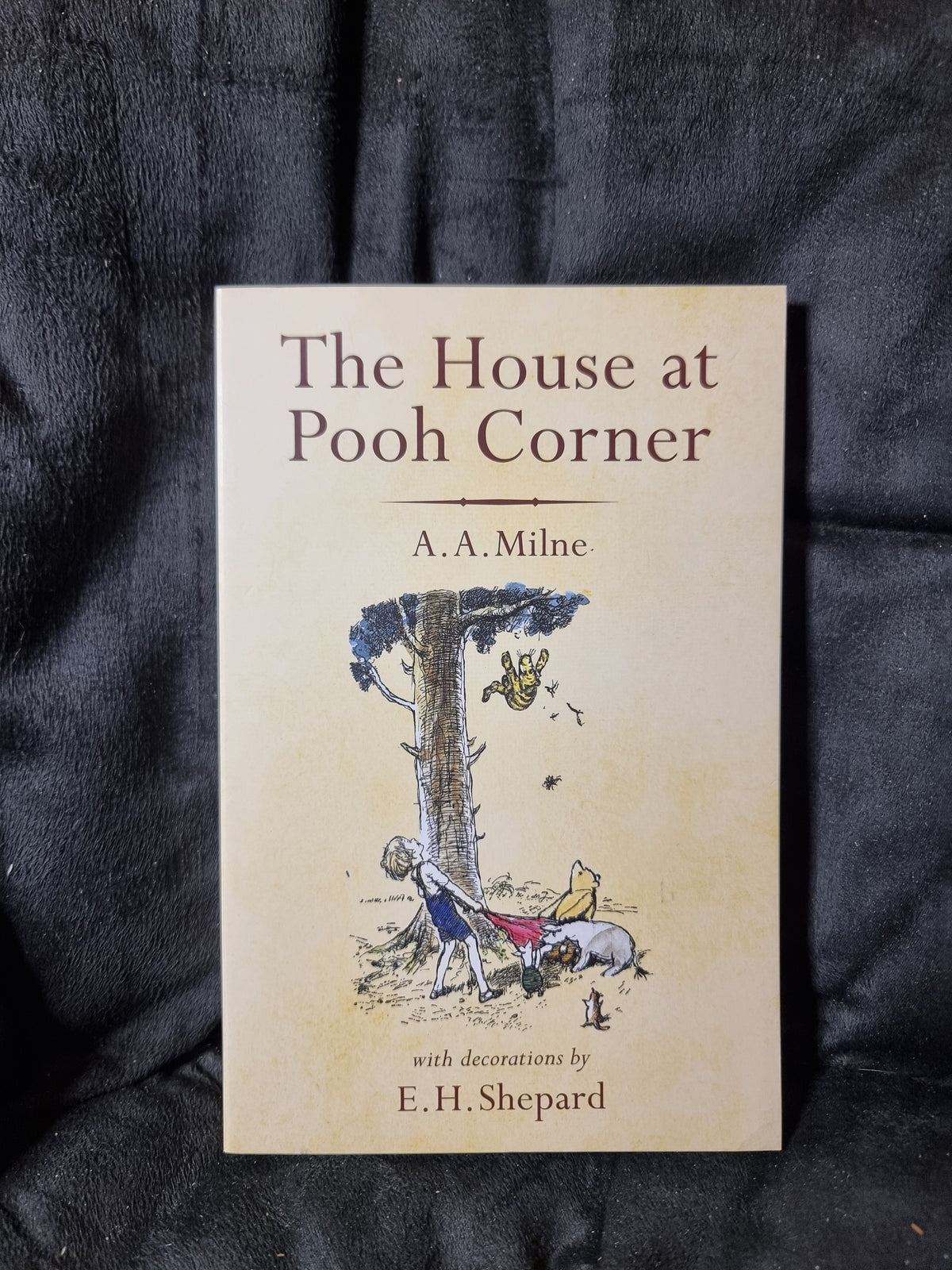 The House At Pooh Corner