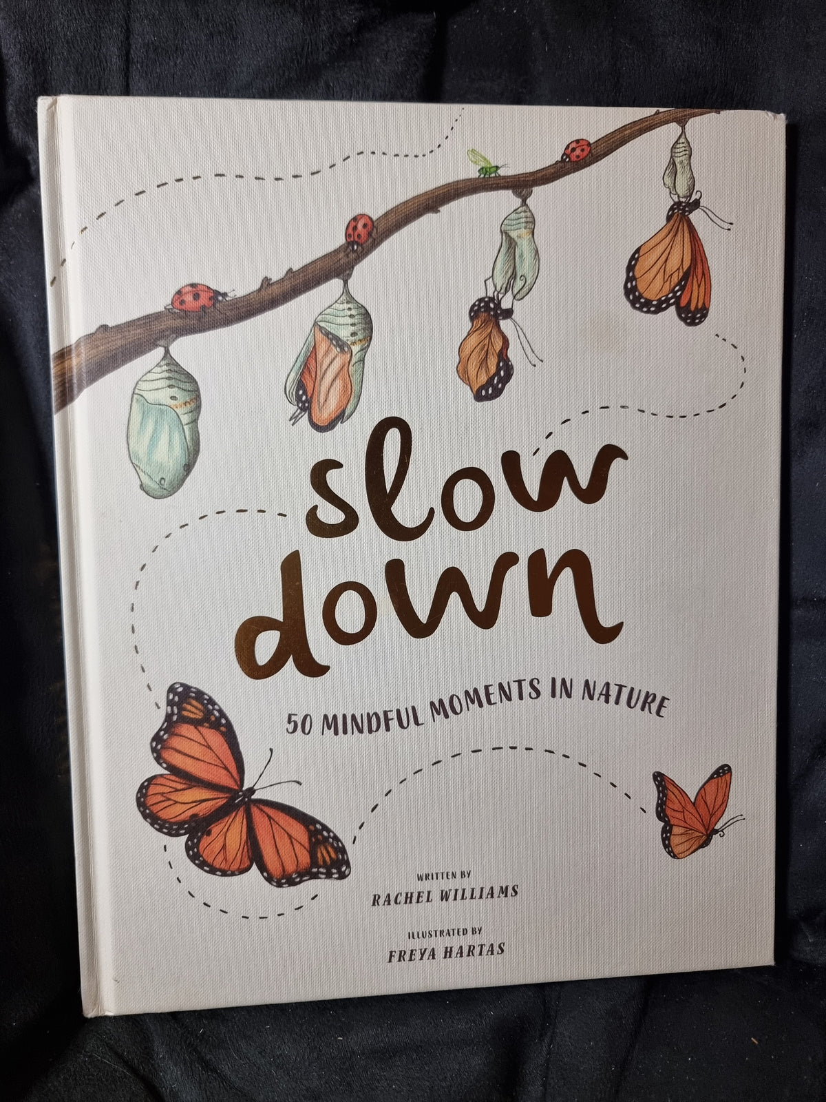 Slow Down 50 Mindful Moments in Nature
