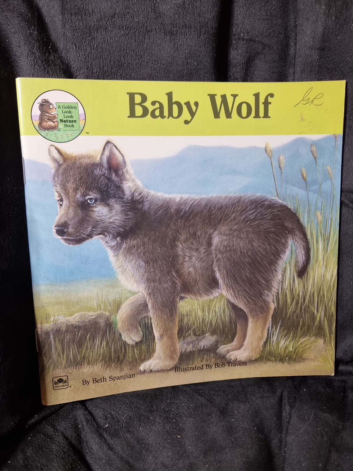 Baby Wolf