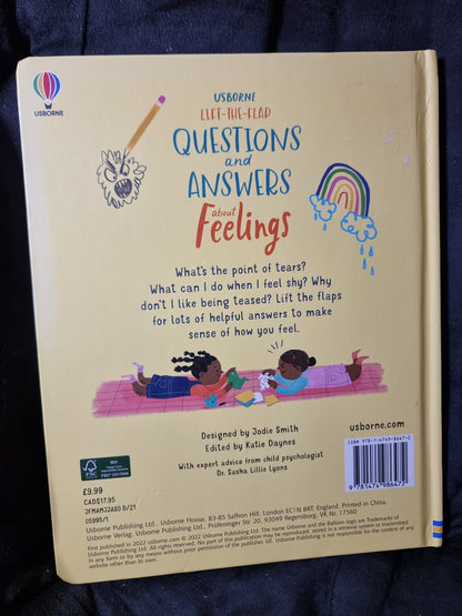 Usborne Lift the Flap Questions and Answers About Feelings