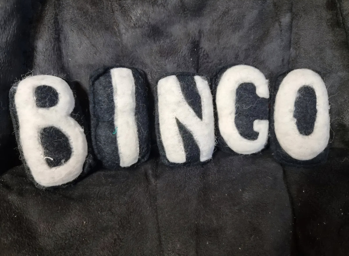 B-I-N-G-O Felt Manipulatives