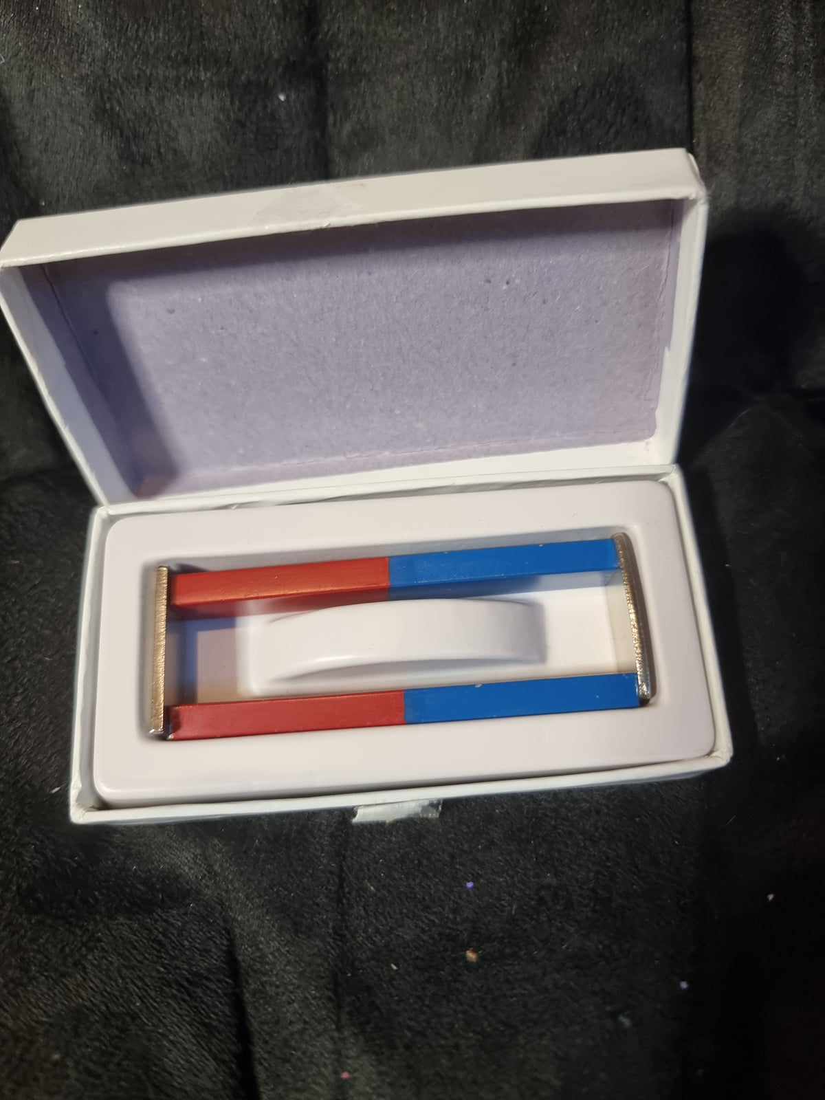 Magnet